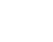 EUFest Project